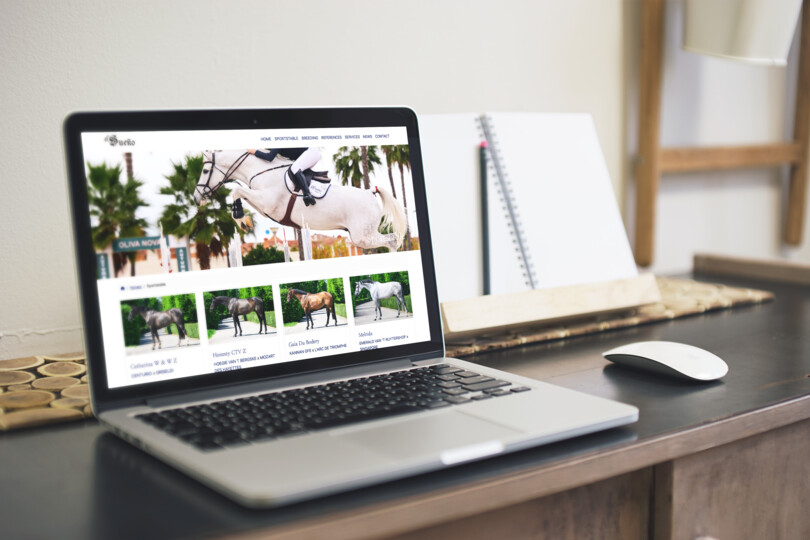 Our new website is launched